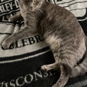 Meet your Posher, Lola